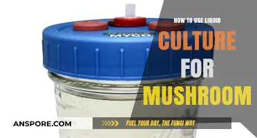 Mastering Mushroom Cultivation: A Guide to Using Liquid Culture
