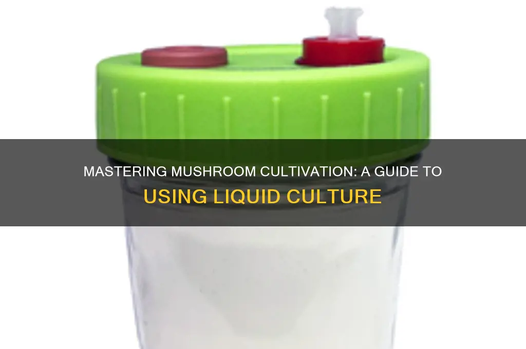 how to use liquid culture to grow mushrooms