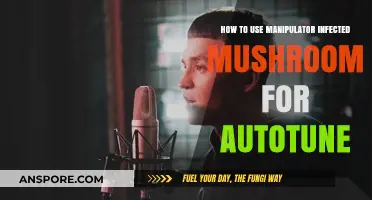 Master Autotune with Manipulator by Infected Mushroom: A Guide