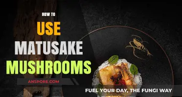Mastering Matusake Mushrooms: Creative Culinary Uses and Preparation Tips