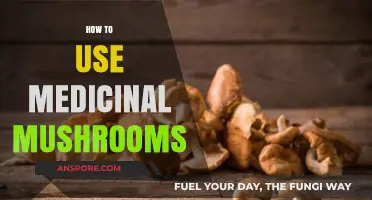 Unlocking Nature's Healing Power: A Guide to Medicinal Mushrooms