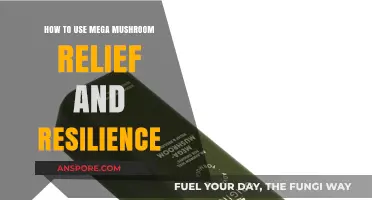 Mega Mushroom Relief: Boost Resilience and Wellness Naturally
