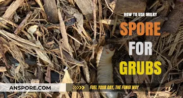 Effective Grub Control: Using Milky Spore for a Healthy Lawn