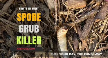 Effective Milky Spore Application: Eliminate Grubs and Protect Your Lawn