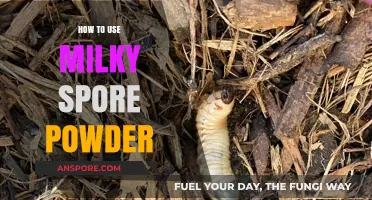 Effective Milky Spore Powder Application: A Guide to Grub Control