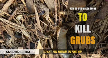 Effective Grub Control: Using Milky Spore for a Grub-Free Lawn