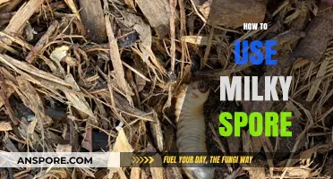 Effective Milky Spore Application: A Step-by-Step Guide for Lawn Care