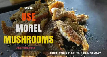 Mastering Morel Mushrooms: Delicious Recipes and Cooking Techniques