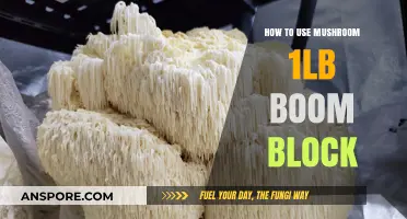 Mastering Mushroom Cultivation: A Guide to Using 1lb Boom Blocks