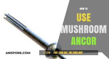 Mastering Mushroom Anchors: Essential Tips for Secure and Effective Use