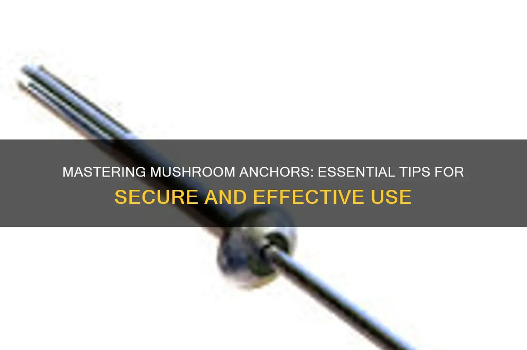 how to use mushroom ancor