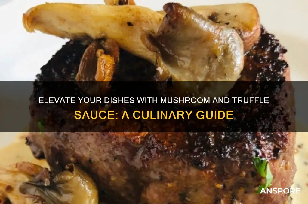 how to use mushroom and truffle sauce