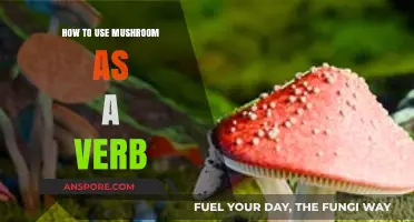 Mushrooming Creativity: Using 'Mushroom' as a Verb in Everyday Language