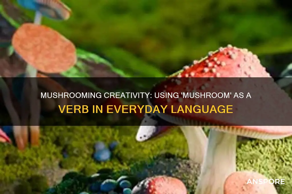 how to use mushroom as a verb