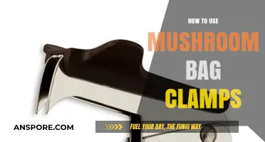 Mastering Mushroom Cultivation: Effective Use of Bag Clamps