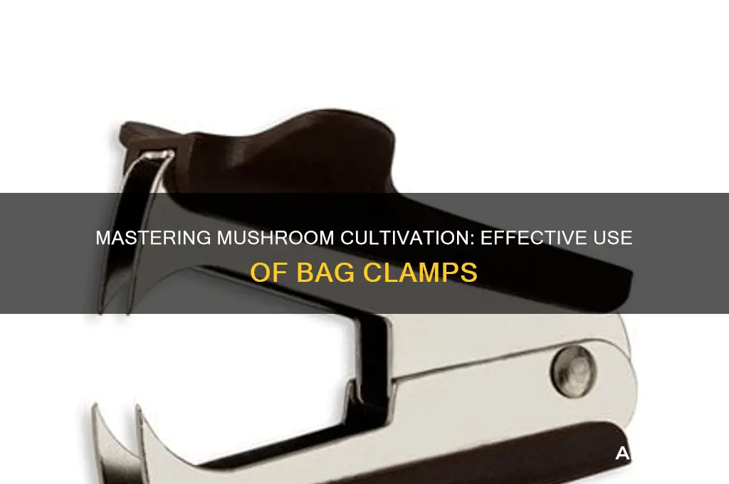 how to use mushroom bag clamps