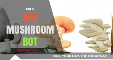 Mastering Mushroom Bot: A Step-by-Step Guide for Effective Usage