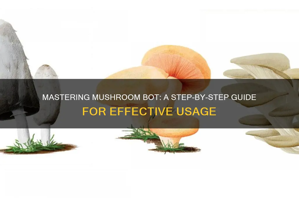 how to use mushroom bot