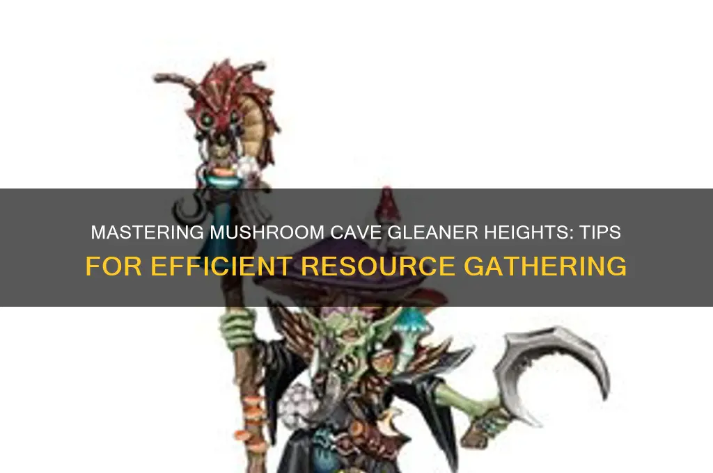 how to use mushroom cave gleaner heights