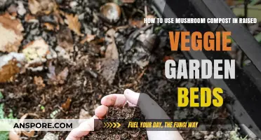 Boost Veggie Growth: Using Mushroom Compost in Raised Garden Beds