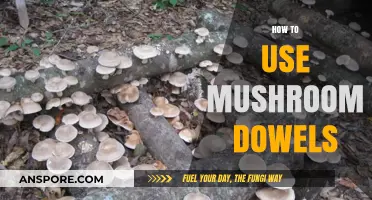 Mastering Mushroom Dowels: A Step-by-Step Guide for Successful Cultivation