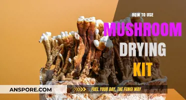 Mastering Mushroom Preservation: A Guide to Using Drying Kits