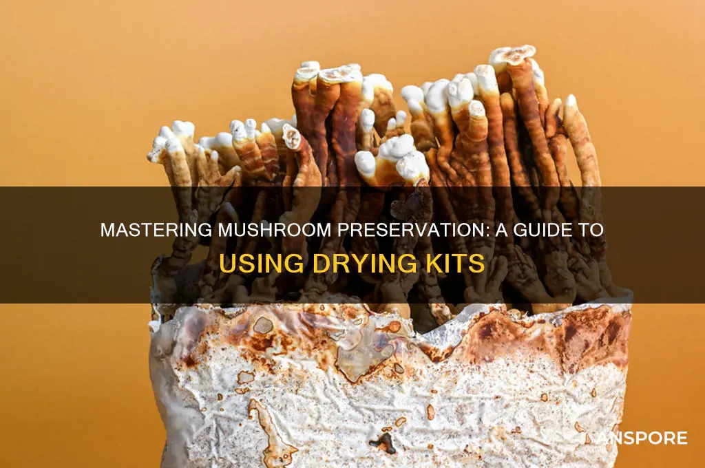 how to use mushroom drying kit