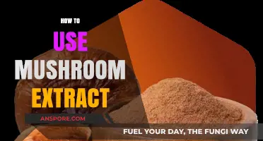 Unlocking Wellness: A Guide to Using Mushroom Extract Effectively