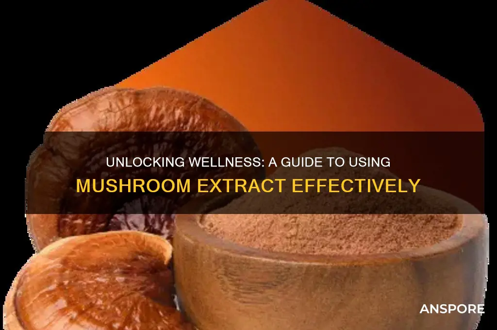 how to use mushroom extract