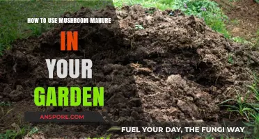 Boost Garden Growth: Mushroom Manure Tips for Healthy Plants