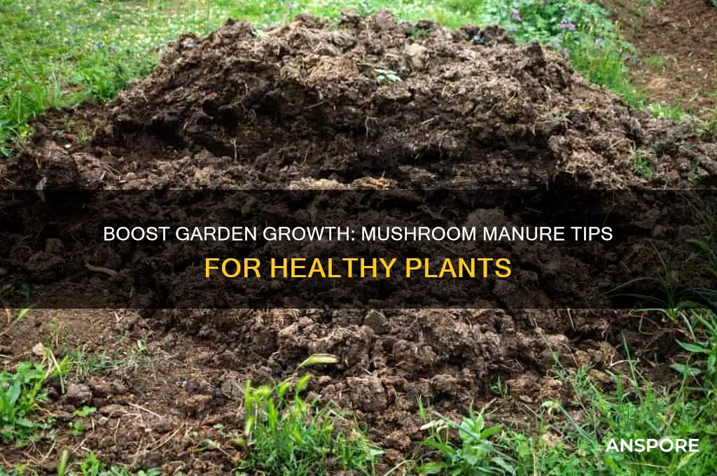 how to use mushroom manure in your garden