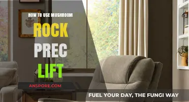 Mastering Mushroom Rock Prec Lift: Techniques for Effective Use and Results