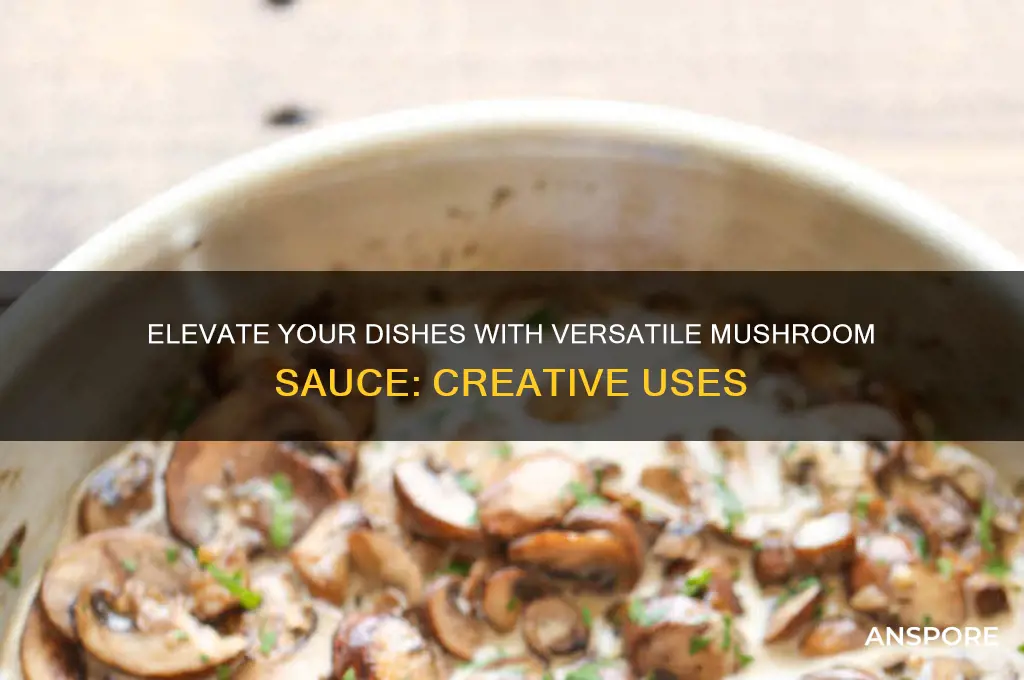 how to use mushroom sauce