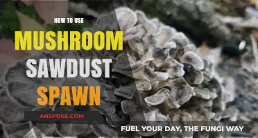 Mastering Mushroom Cultivation: A Guide to Using Sawdust Spawn
