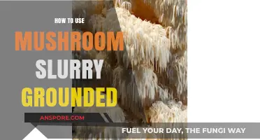 Mastering Mushroom Slurry: Grounding Techniques for Flavorful Culinary Creations