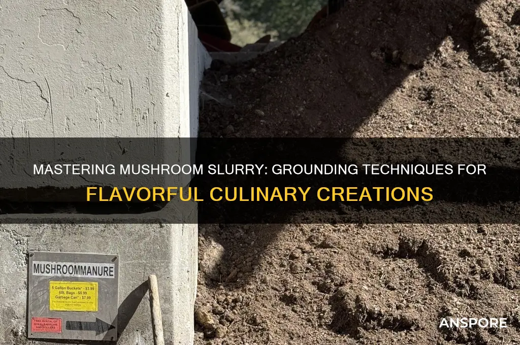 how to use mushroom slurry grounded