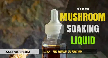 Unlocking Flavor: Creative Ways to Use Mushroom Soaking Liquid