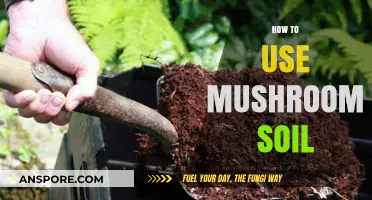 Unlocking Mushroom Soil Secrets: A Guide to Boosting Garden Growth