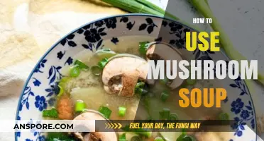 Creative Ways to Use Mushroom Soup in Everyday Cooking