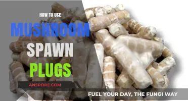 Mastering Mushroom Cultivation: A Guide to Using Spawn Plugs