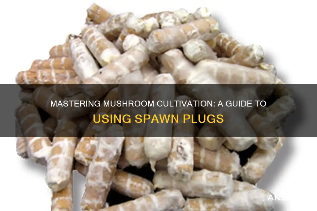 how to use mushroom spawn plugs