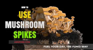 Mastering Mushroom Spikes: Creative Uses and Practical Tips for Gardeners