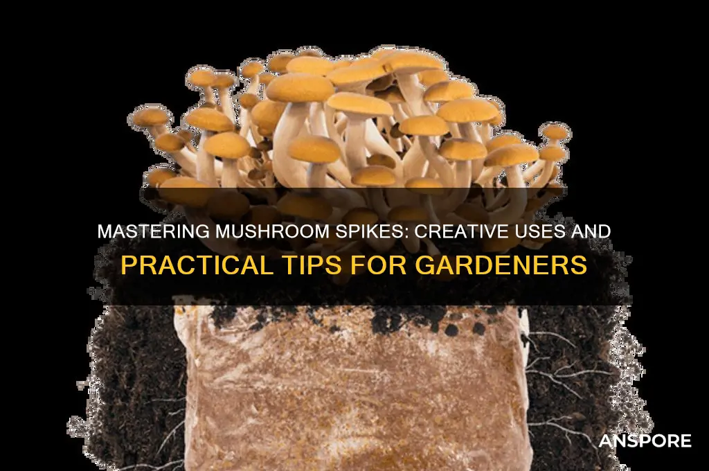 how to use mushroom spikes