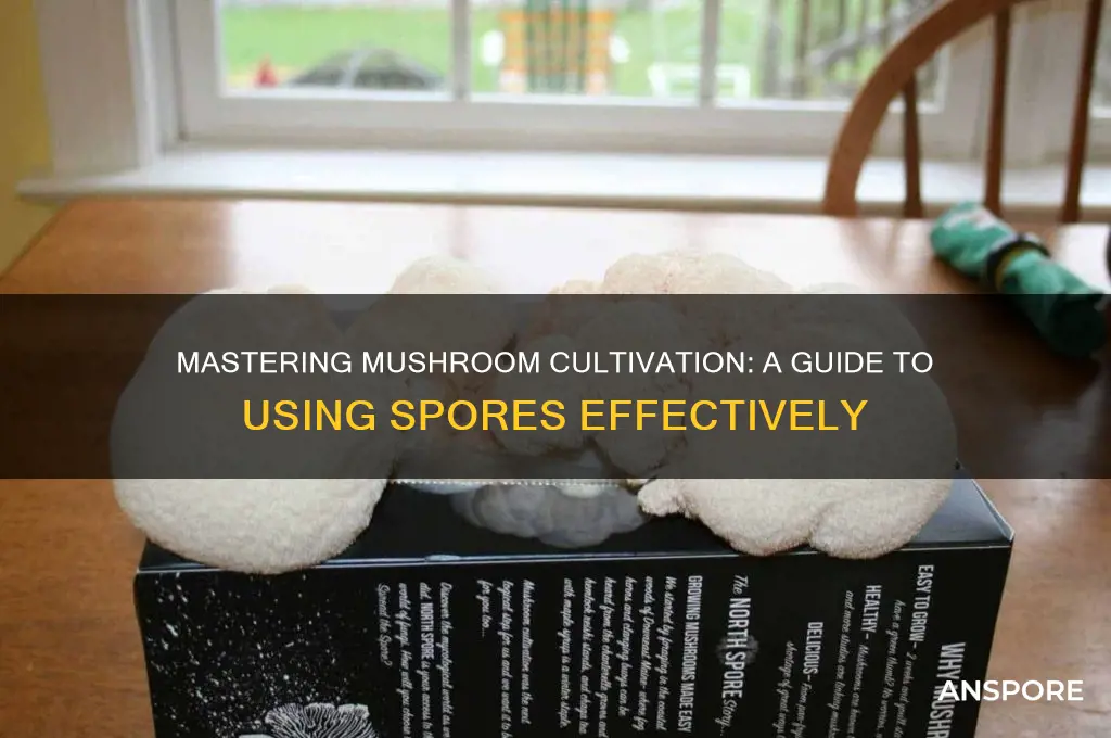 how to use mushroom spores