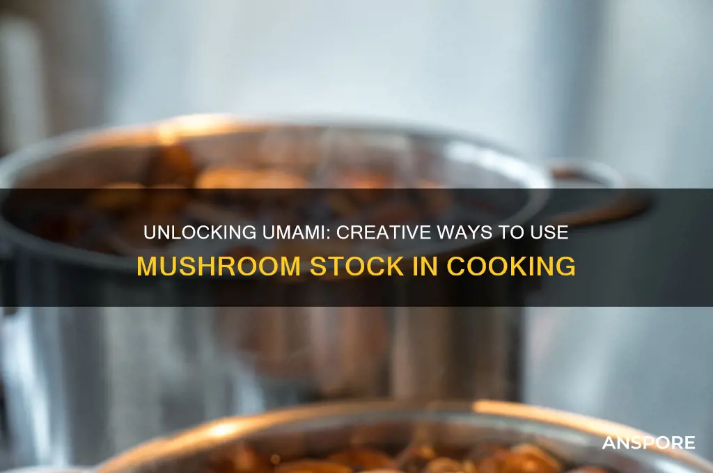 how to use mushroom stock