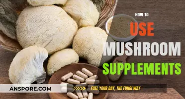 Unlocking Wellness: A Guide to Using Mushroom Supplements Effectively