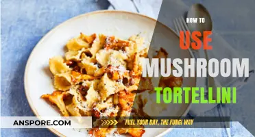 Creative Mushroom Tortellini Recipes: Elevate Your Pasta Game with Ease