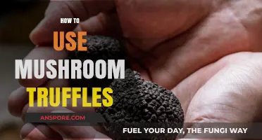 Unlocking the Magic: A Beginner's Guide to Using Mushroom Truffles