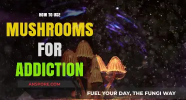Healing with Fungi: Using Mushrooms to Overcome Addiction Naturally