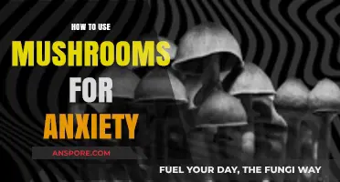 Mushrooms for Anxiety: Natural Remedies to Calm Your Mind